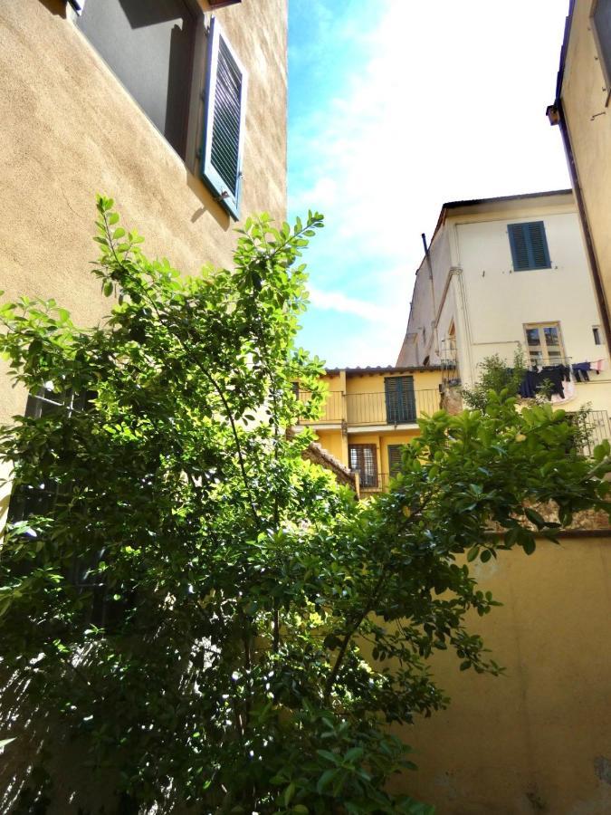Maila Apartments 25Min From Florence Prato  Extérieur photo